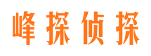 新河市私家侦探